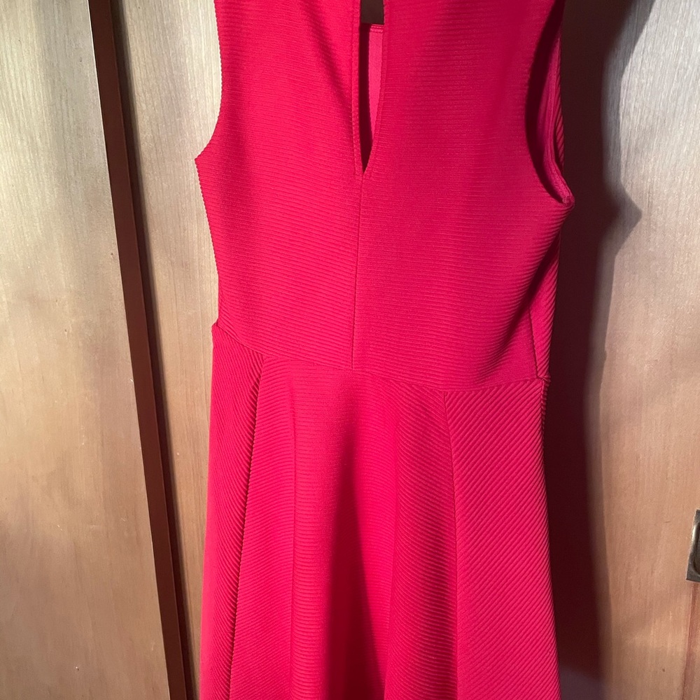 Express Dress - Picture 2 of 3